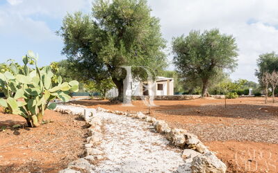 Lamia Vite - Favola dei Trulli