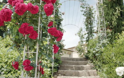 Villa Gerundina: Giardino, Primavera
