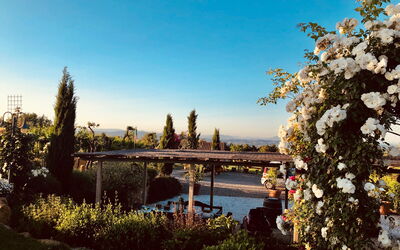 Villa Salvadori: Extérieur, Vues