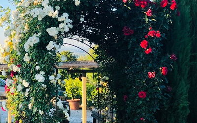 Villa Salvadori: Extérieur