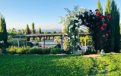 Villa Salvadori: Extérieur, Extérieurs