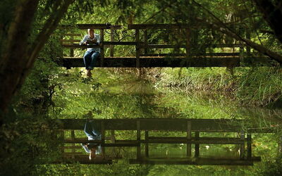 Villa Veneta: The centuries-old park around the house (18 acres - 9 hectars) is rich in ancient plants and trees and offers hidden corners for relax and sunset walks.