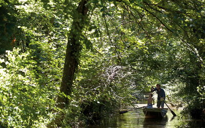 Villa Veneta: Outdoor