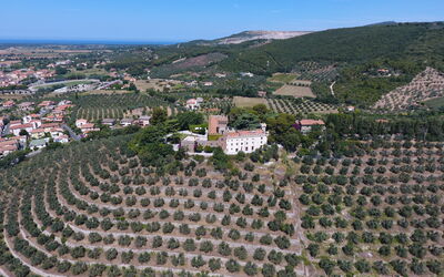 Il Castello: Scenic View
