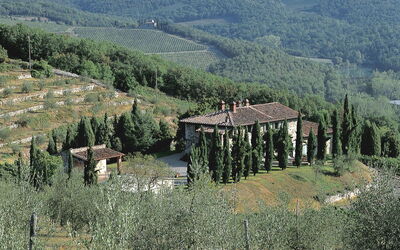 Villa Niccolò: Extérieurs, Jardin