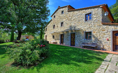 Villa Casentino: all'aperto, Giardino, Piscina
