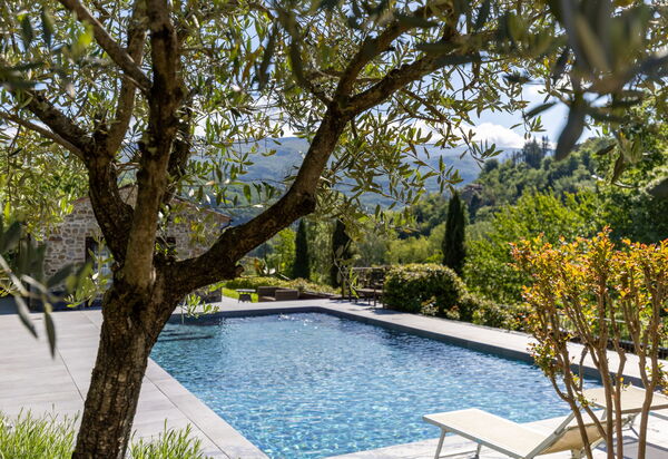Villa Casentino: Pool