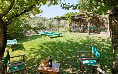 Casavecchia 12: Garden, Outdoor