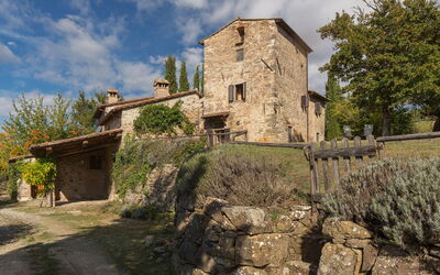 Casavecchia 12: Building Exterior, Garden