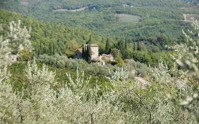 Casavecchia 12: Scenic View