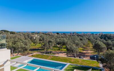 Villa Olivum: bassin, Extérieur, Extérieurs, Jardin