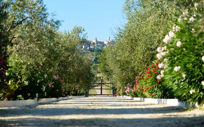Villa Vittoria: all'aperto, Giardino, Vista Panoramica