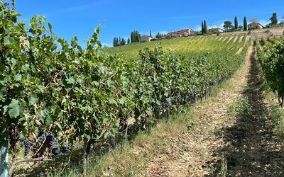 La Corte del Mangia: Scenic View