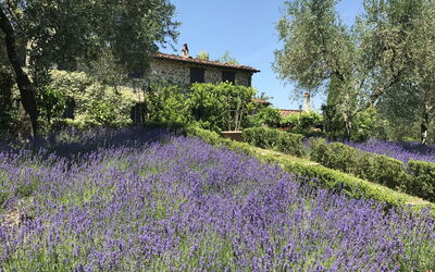 Lavanda: Building Exterior, Garden