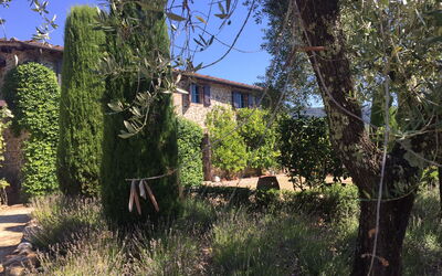 Lavanda: Building Exterior, Garden