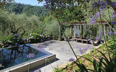 Lavanda: Balcony / Terrace / Patio, Pool