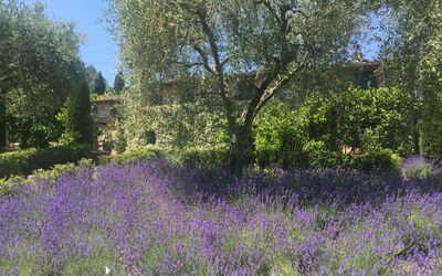 Lavanda: Building Exterior, Garden