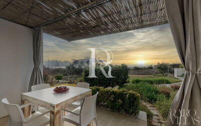 Camera Nova Family 2