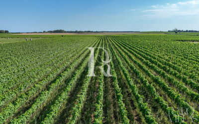 Eméra Wine Resort Claudio Quarta