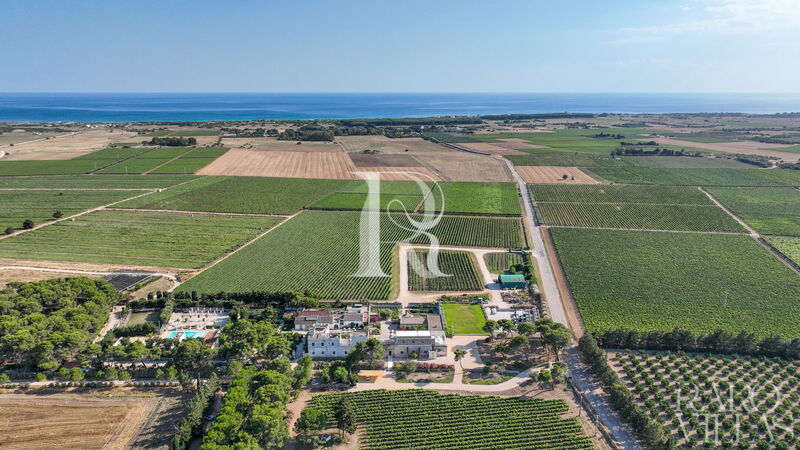 Eméra Wine Resort Claudio Quarta