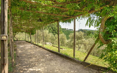 Beatrice: Activiteiten, Buitenshuis