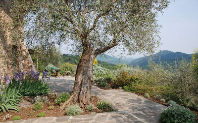 Beatrice: Activiteiten, Buitenshuis