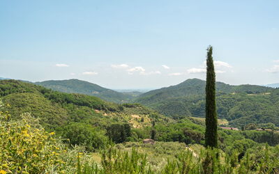 Beatrice: Buitenshuis