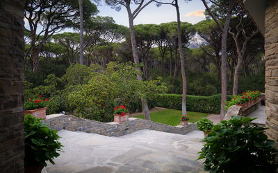 Villa Hidalgo: Garden