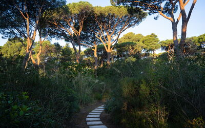 Villa Hidalgo: Garden