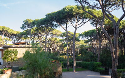 Villa Hidalgo: Garden