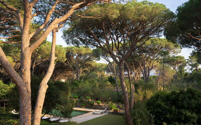 Villa Hidalgo: Garden