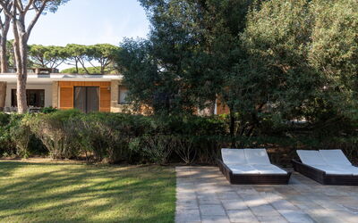 Villa Hidalgo: Garden