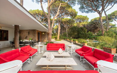 Villa Hidalgo: Terrace