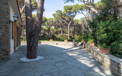 Villa Hidalgo: Garden