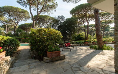 Villa Hidalgo: Garden