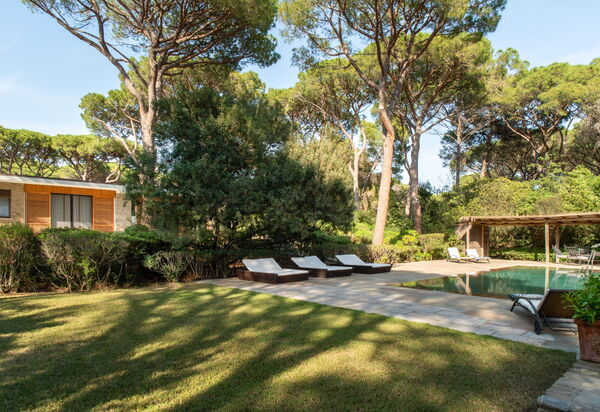 Villa Hidalgo: Garden