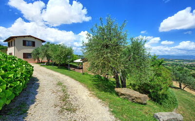 Villa Ulivi: all'aperto, Esterni, Giardino