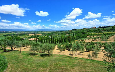 Villa Ulivi: all'aperto, Estate, Vista Panoramica