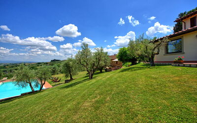 Villa Ulivi: all'aperto, Esterni, Giardino, Piscina