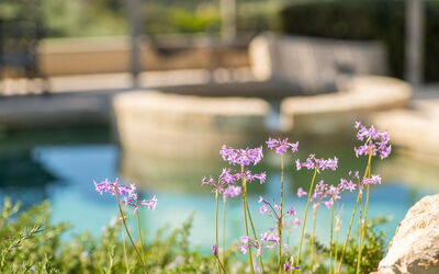 Villa Lucy: all'aperto, Esterni, Piscina