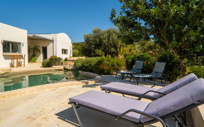 Villa Lucy: all'aperto, Esterni, Piscina