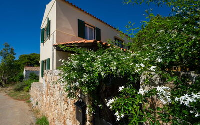 Villa Giani: Building Exterior, Garden