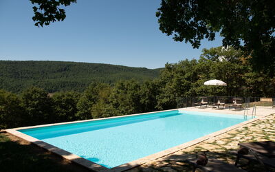 Villa Lucarella: Garden, Outdoor, Pool