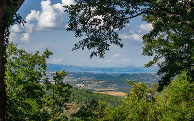 Villa Lucarella: Outdoor