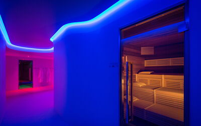 Villa S.f. Assisi: Wellness