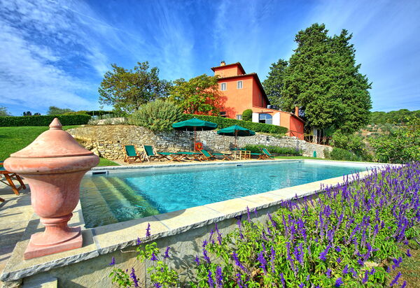 Villa Cona: all'aperto, Esterni, Giardino, Piscina