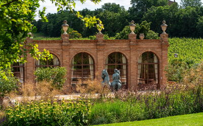 Villa Matteis: Jardin