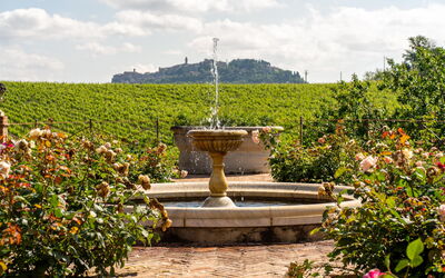 Villa Matteis: Jardin, Vues