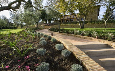 Villa Matteis: Jardin