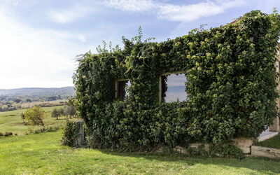Villa Scopeto: Garden